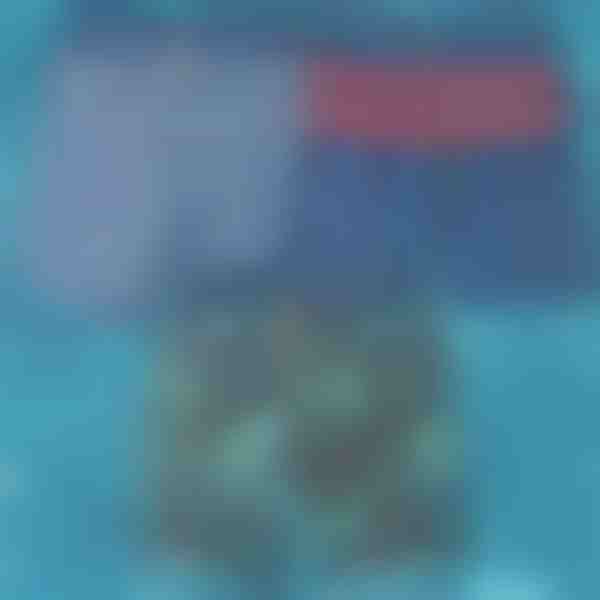 Rychleschnoucí plavky | TOGGIES