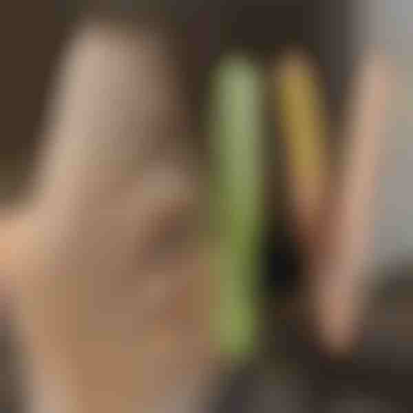 Kulma a žehlička na vlasy TWISTLINE