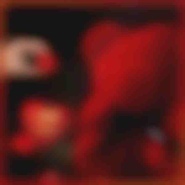 Dárek, který mluví láskou | LOVEBEAR